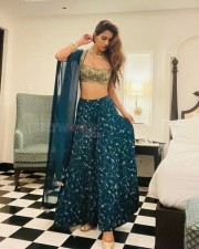 Hot and Sexy Disha Patani Pictures