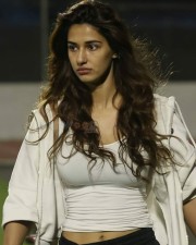 Hot and Sexy Disha Patani Pictures
