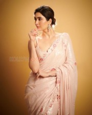 Hush Hush Actress Karishma Tanna Saree Photoshoot Pictures 01