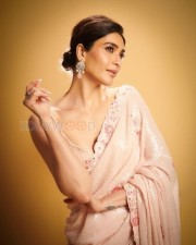 Hush Hush Actress Karishma Tanna Saree Photoshoot Pictures 03