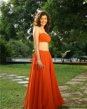 Kajal Aggarwal 2 Indian Film Actress Kajal Agarwal Sexy Pictures