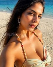 Irresistible Malavika Mohanan Cleavage in a Maroon Bikini Top Photos 02