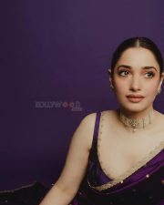 Irresistible Tamannaah Bhatia in a Purple Kanchipuram Saree with a Sleeveless Blouse Photos 02