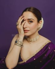 Irresistible Tamannaah Bhatia in a Purple Kanchipuram Saree with a Sleeveless Blouse Photos 03