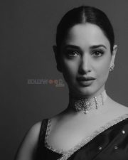 Irresistible Tamannaah Bhatia in a Purple Kanchipuram Saree with a Sleeveless Blouse Photos 04