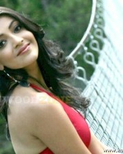 Kajal Aggarwal 40 Kajal Agarwal Hot Photos