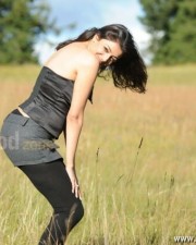 Kajal Aggarwal 31 Kajal Agarwal Hot Photos