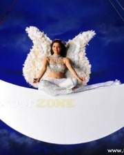 Kajal Aggarwal 12 Kajal Agarwal Hot Pictures