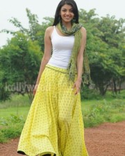 Kajal Aggarwal 5 Kajal Agarwal Hot Sexy Pictures
