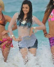 Kajal Aggarwal 41 Kajal Agarwal Hot Spicy Photos