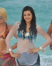 Kajal Aggarwal 40 Kajal Agarwal Hot Spicy Photos