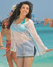 Kajal Aggarwal 38 Kajal Agarwal Hot Spicy Photos