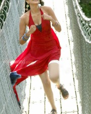 Kajal Aggarwal 47 Kajal Agarwal Sexy Spicy Pictures