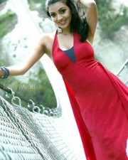 Kajal Aggarwal 41 Kajal Agarwal Sexy Spicy Pictures