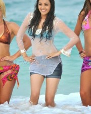 Kajal Aggarwal 30 Kajal Agarwal Spicy Pics