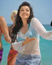 Kajal Aggarwal 29 Kajal Agarwal Spicy Pics