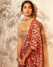 Kanchana 4 Actress Pooja Hegde in a Red and Gold Brocade Saree with a Matching Embroidered Corset Style Blouse Photos 02