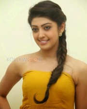 Kannada Actress Pranitha Photos