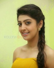 Kannada Actress Pranitha Photos