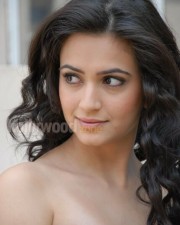 Kriti Kharbanda Sexy Photos