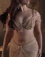Luscious Tamannaah Bhatia Sexy Pictures 01