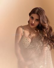 Majestic Heroine Nidhhi Agerwal in a Sheer Beige Saree with a Matching Sleeveless Strappy Blouse Photos 04