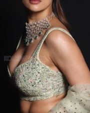 Malaika Arora in a Silver Lehenga Pictures 02
