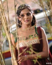 Remya Nambeesan 60 Malayalam Actress Remya Nambeesan Pictures