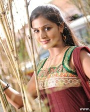 Remya Nambeesan 58 Malayalam Actress Remya Nambeesan Pictures