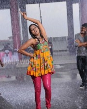 Remya Nambeesan 25 Mallu Actress Ramya Nambeesan Photos