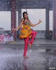 Remya Nambeesan 19 Mallu Actress Ramya Nambeesan Photos