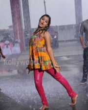 Remya Nambeesan 1 Mallu Actress Ramya Nambeesan Photos