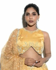 Mallu Babe Aishwarya Lekshmi Photoshoot Pictures