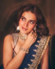 Mesmerizing Actress Nidhhi Agerwal in a Royal blue embroidered saree Photos 01