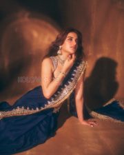 Mesmerizing Actress Nidhhi Agerwal in a Royal blue embroidered saree Photos 02