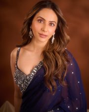 Mesmerizing Actress Rakul Preet Singh in a Navy Blue Sequin Saree Photos 10