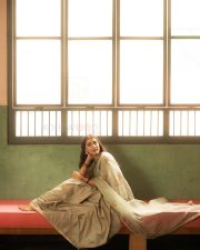 Mesmerizing Pooja Hegde in a Soft Pastel Saree Pictures 05
