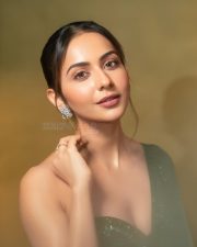 Mesmerizing Rakul Preet Singh in an Emerald Green Saree with a Corset Style Blouse Photos 04