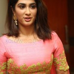 Deepti Sati 13 Miss Kerala Deepti Sati At Jaguar Audio Launch Photos