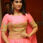 Deepti Sati 9 Miss Kerala Deepti Sati At Jaguar Audio Launch Photos