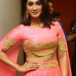 Deepti Sati 6 Miss Kerala Deepti Sati At Jaguar Audio Launch Photos