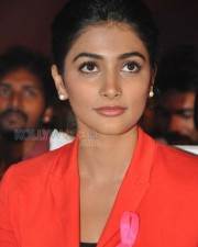 Model Actress Pooja Hegde Pictures