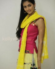Model Pooja Hegde Stills