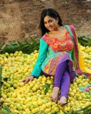 Navarasa Thilagam Movie Heroine Srushti Dange Photos