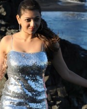 Nayak Heroine Kajal Hot Photos