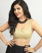 Nela Ticket Movie Heroine Malvika Sharma Photos