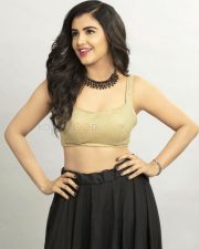 Nela Ticket Movie Heroine Malvika Sharma Photos