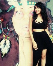 Nela Ticket Movie Heroine Malvika Sharma Photos