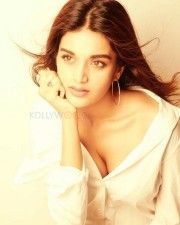 Nidhhi Agerwal Hot Photos