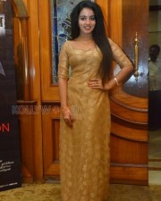 Nijama Nizhala Heroine Malavika Menon Photos